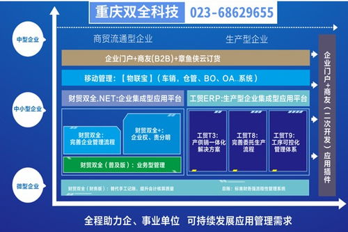 彭水生产型企业管理制度优化与重庆管家婆软件二次开发实践